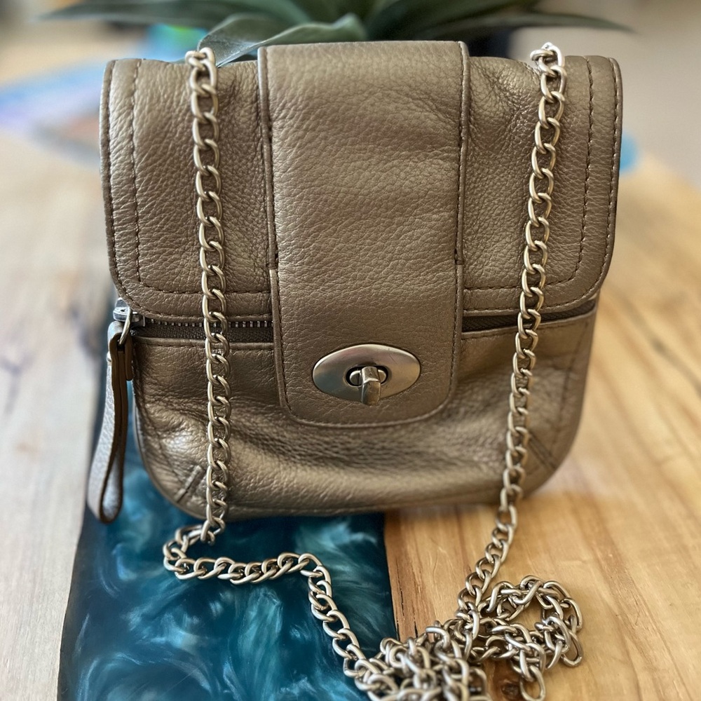 Banana Republic Metallic Leather Crossbody Bag